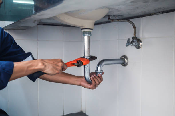 Best Local Plumber Services  in Westover, WV